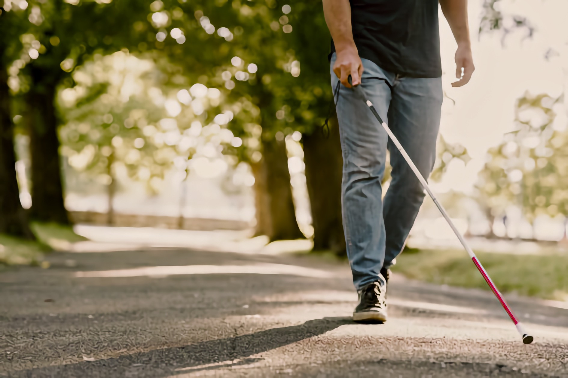 A Blind adult man navigates a tree-lined park path using a white cane.