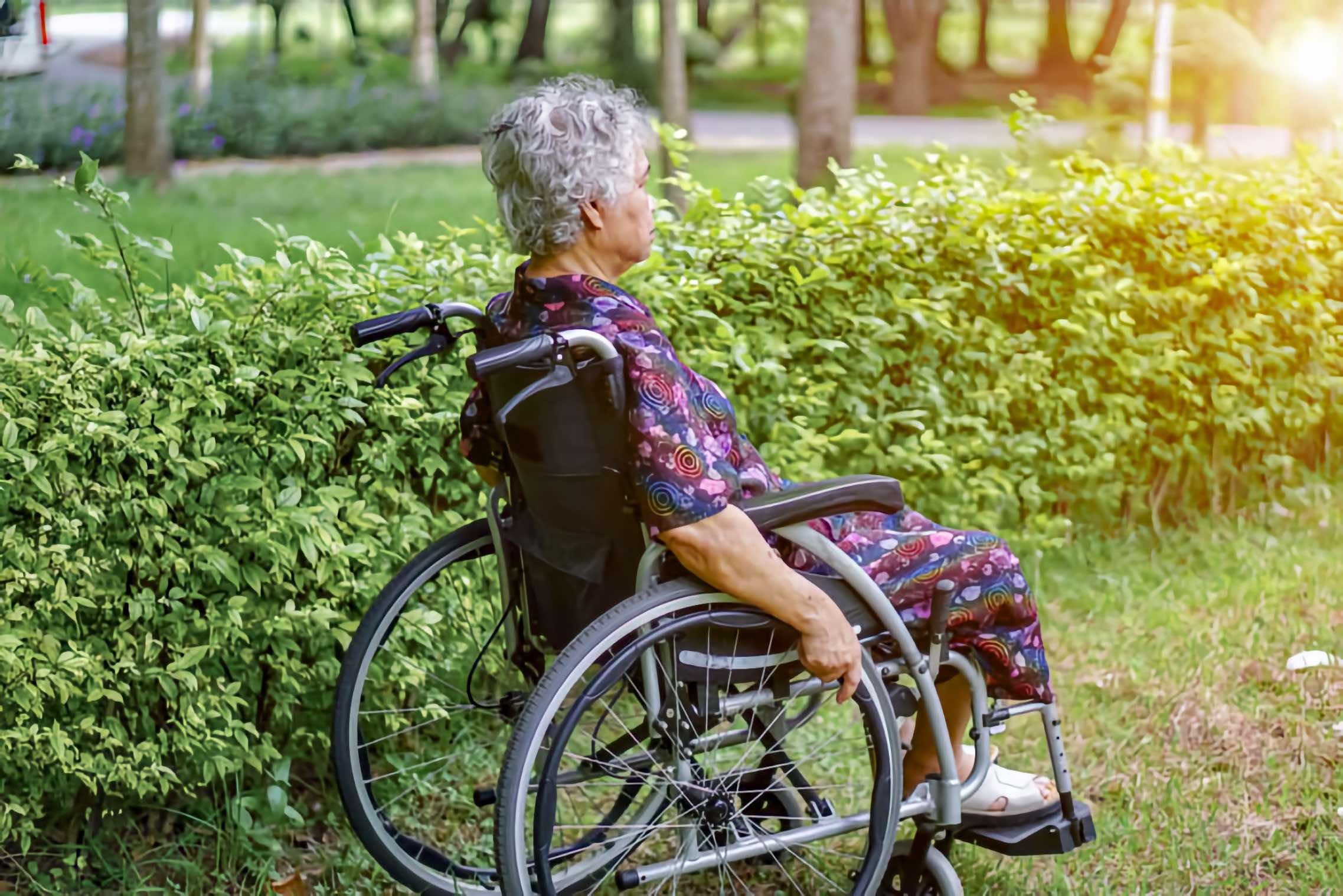 Woman with short gray curly hair sits in a wheelchair, facing right, beside a green hedge in a sunlit park.